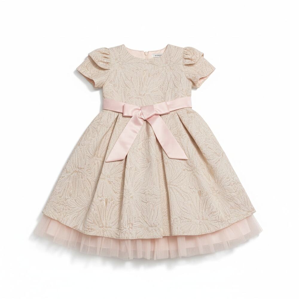 Sweet Girl Party Dress Size 10 Champagne Pink Tulle Floral Flare Festive Holiday
